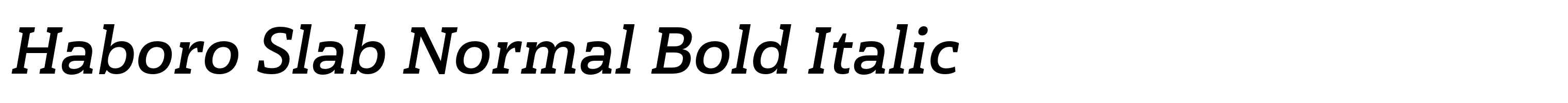 Haboro Slab Normal Bold Italic